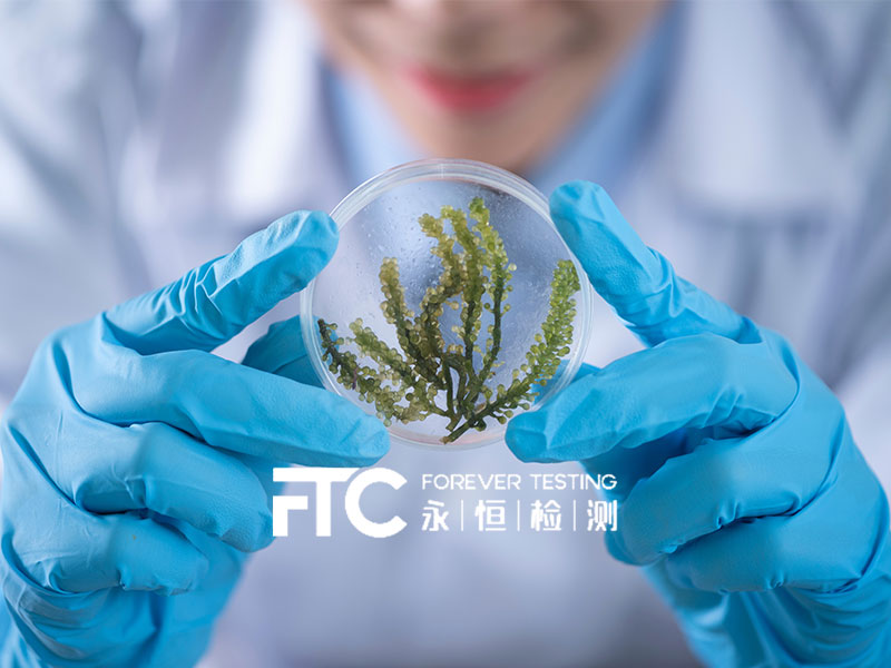 中山永恒檢測(cè)科技有限公司網(wǎng)站建設(shè)案例